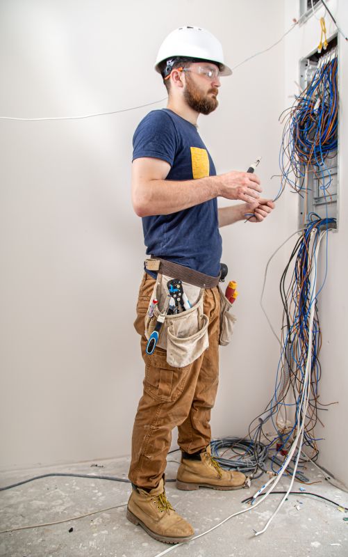 Professional Electricians